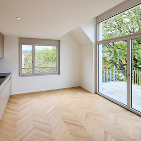 MFH Güterstrasse