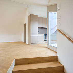 MFH Güterstrasse